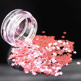 Glitter star sequins